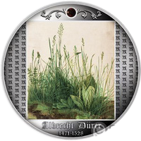 Albrecht Durer Studium Trawy eskiz1