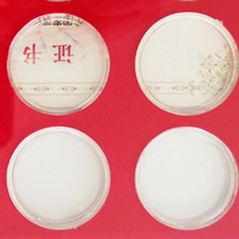 Medium plastik box 16 x 11 12 coins 4